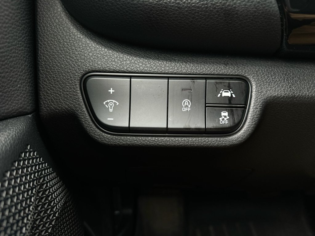 2022 Kia Seltos EX | Roof | Cam | Htd Steering | Warranty to 2027 in Saint John, New Brunswick - 22 - w1024h768px
