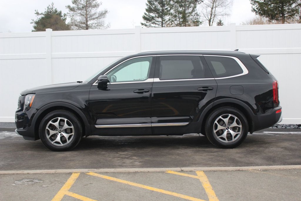 2020 Kia Telluride EX | Leather | 7-Pass | Cam | USB | HtdWheel in Saint John, New Brunswick - 4 - w1024h768px