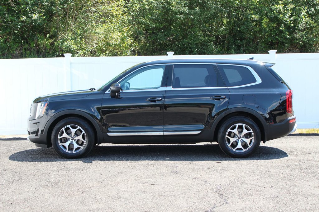 2020 Kia Telluride in Antigonish, Nova Scotia - 4 - w1024h768px