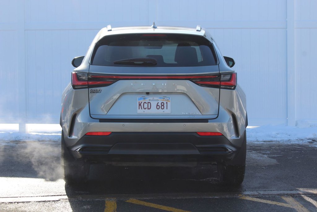 2024 Lexus NX in Antigonish, Nova Scotia - 6 - w1024h768px