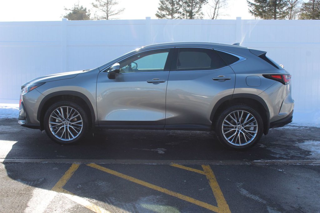 2024 Lexus NX 350h | HEV | Leather | PanoRoof | Warranty to 2031 in Saint John, New Brunswick - 4 - w1024h768px