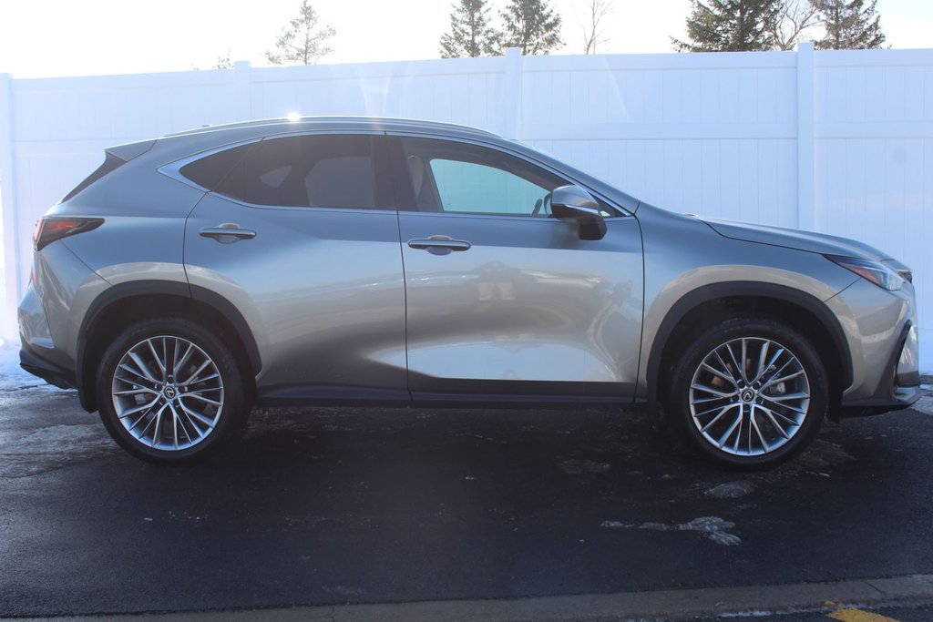 2024 Lexus NX in Antigonish, Nova Scotia - 8 - w1024h768px