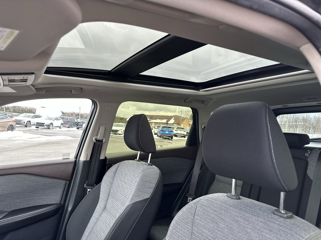 2023 Nissan Rogue in Antigonish, Nova Scotia - 50 - w1024h768px