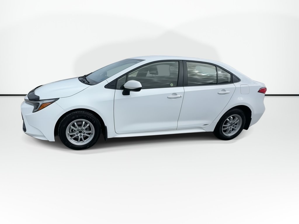 2024 Toyota Corolla in Antigonish, Nova Scotia - 7 - w1024h768px