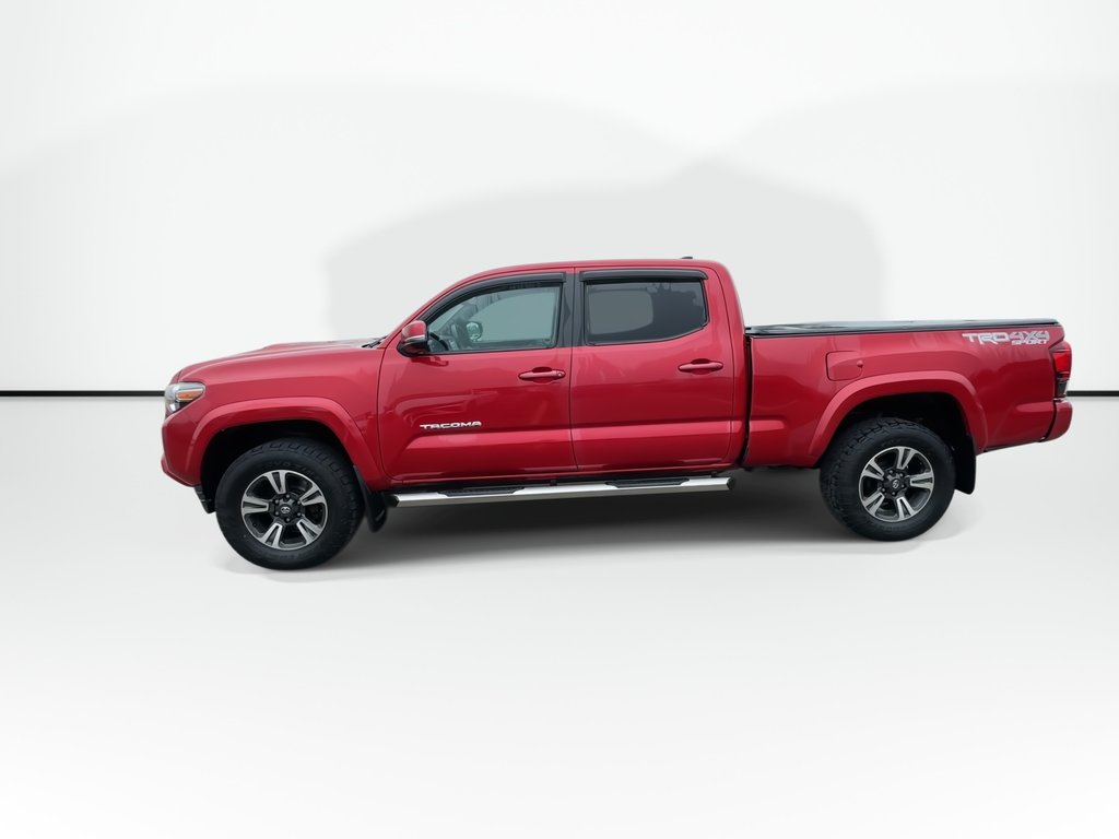 2018 Toyota Tacoma SR5 | Cam | Bluetooth | Cruise | CD | AUX | USB in Saint John, New Brunswick - 7 - w1024h768px