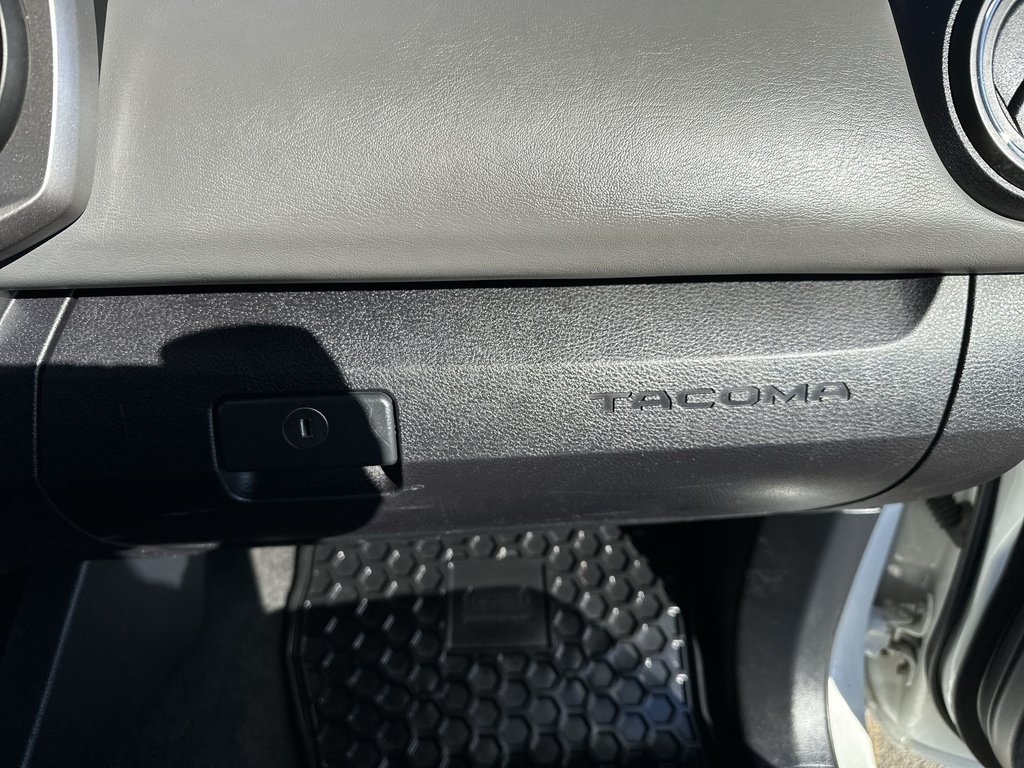2019 Toyota Tacoma in Antigonish, Nova Scotia - 44 - w1024h768px