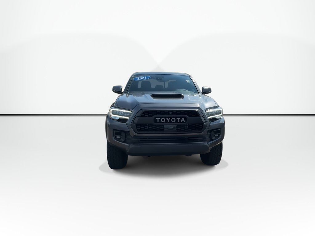 2021 Toyota Tacoma in Antigonish, Nova Scotia - 5 - w1024h768px