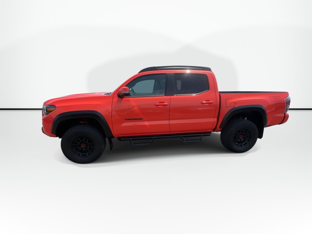 2023 Toyota Tacoma TRD-Pro | Manual | Lthr | Cam | Warranty to 2028 in Saint John, New Brunswick - 5 - w1024h768px
