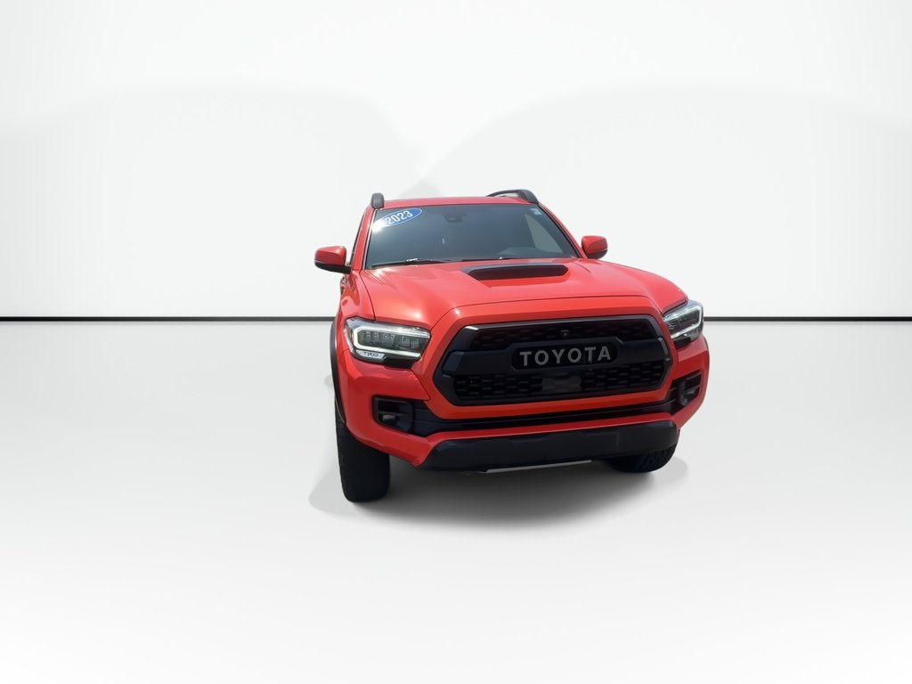 2023 Toyota Tacoma TRD-Pro | Manual | Lthr | Cam | Warranty to 2028 in Saint John, New Brunswick - 3 - w1024h768px