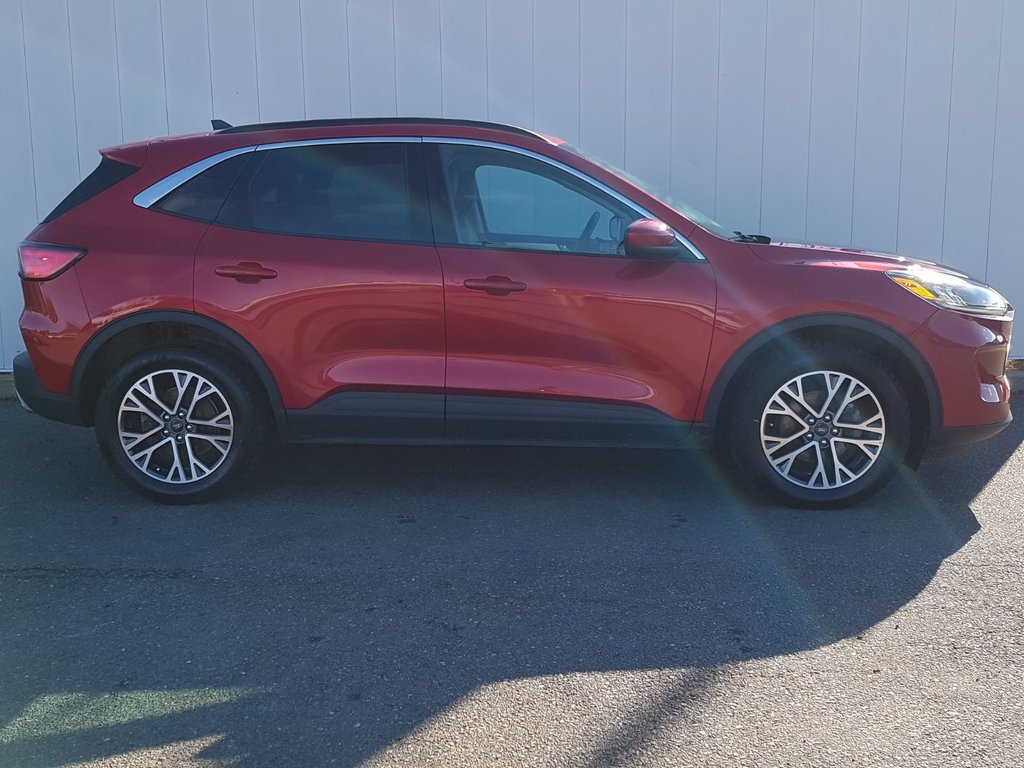 2020 Ford Escape SEL | Leather | Cam | USB | HtdWheel | Bluetooth in Saint John, New Brunswick - 2 - w1024h768px