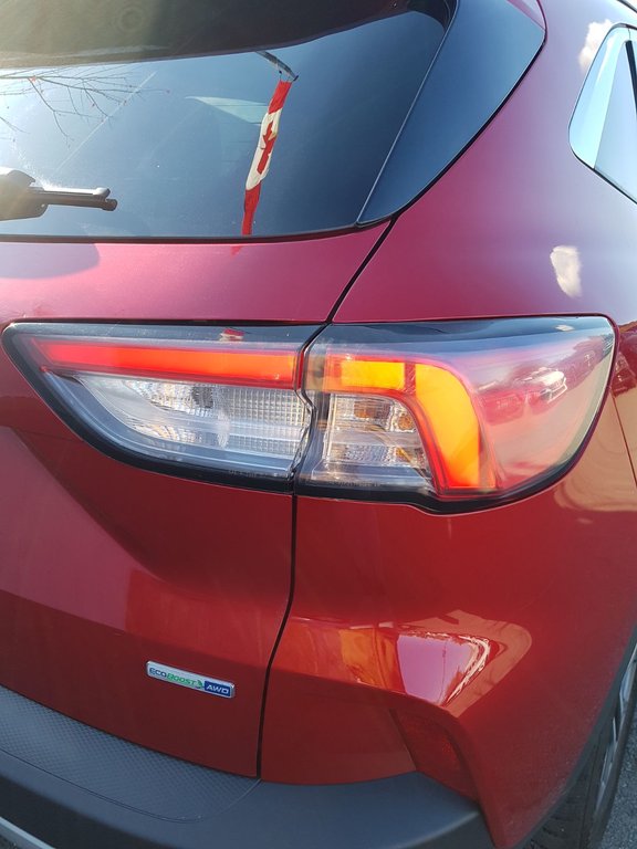2020 Ford Escape SEL | Leather | Cam | USB | HtdWheel | Bluetooth in Saint John, New Brunswick - 17 - w1024h768px