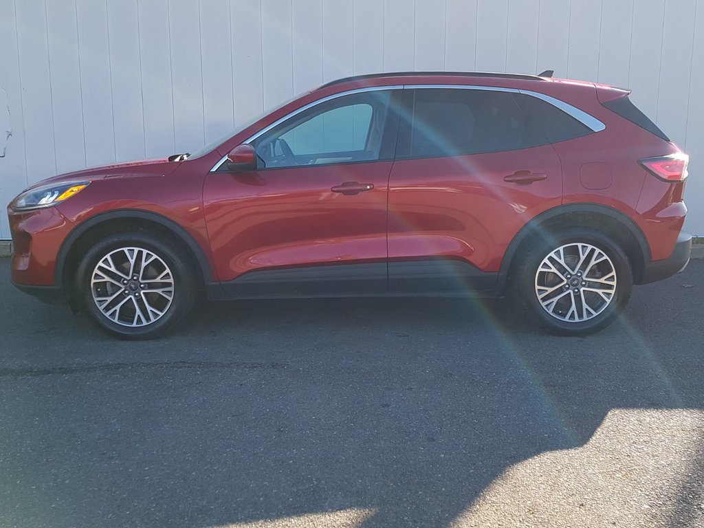 2020 Ford Escape SEL | Leather | Cam | USB | HtdWheel | Bluetooth in Saint John, New Brunswick - 6 - w1024h768px