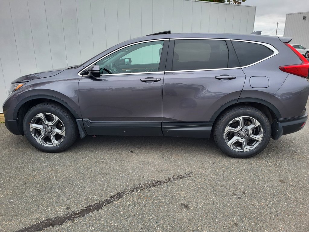 2019  CR-V EX-L | Leather | Roof | Cam | FREE 120K Warranty in Saint John, New Brunswick - 7 - w1024h768px