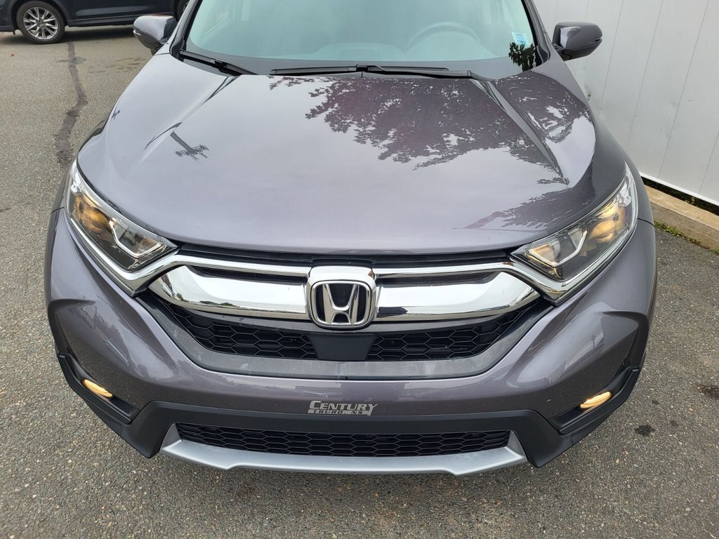 2019  CR-V EX-L | Leather | Roof | Cam | FREE 120K Warranty in Saint John, New Brunswick - 9 - w1024h768px