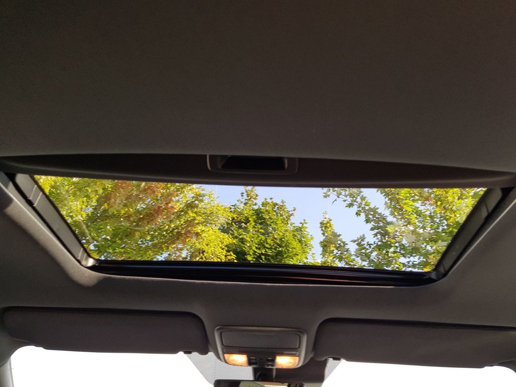 2024 Honda Passport TrailSport | Leather | Roof | Cam | USB | HtdWheel in Saint John, New Brunswick - 59 - w1024h768px