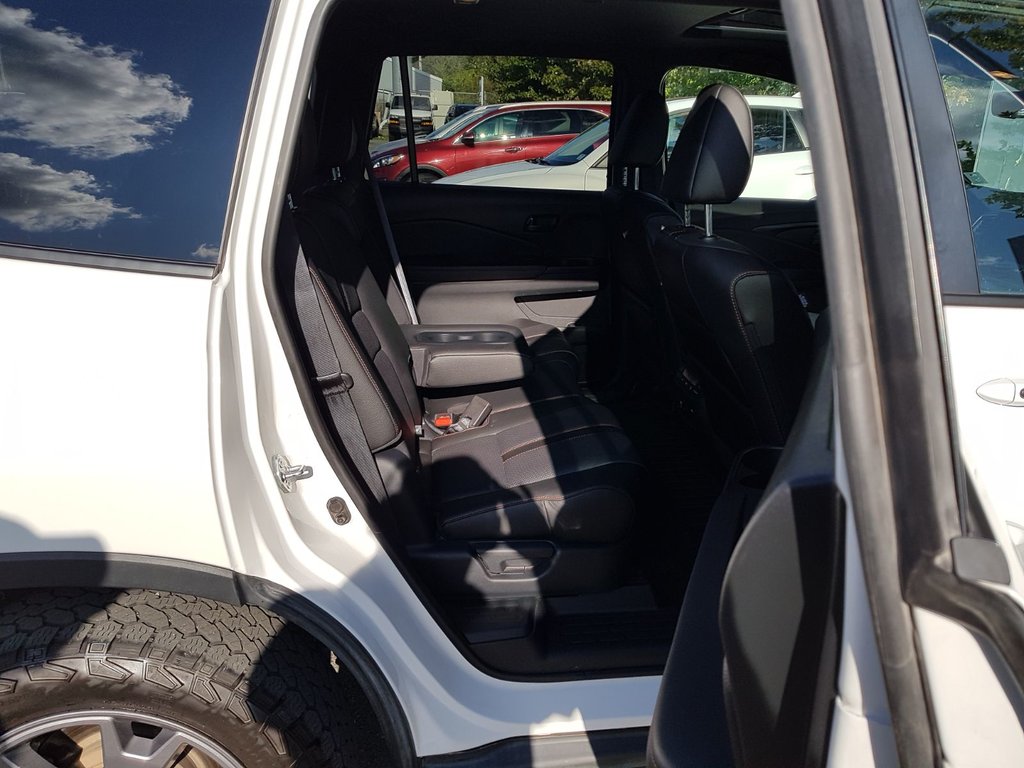 2024 Honda Passport TrailSport | Leather | Roof | Cam | USB | HtdWheel in Saint John, New Brunswick - 41 - w1024h768px