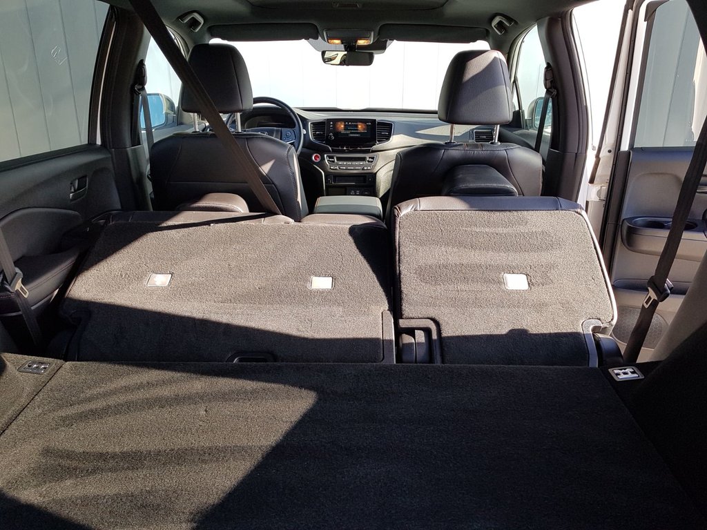 2024 Honda Passport TrailSport | Leather | Roof | Cam | USB | HtdWheel in Saint John, New Brunswick - 70 - w1024h768px