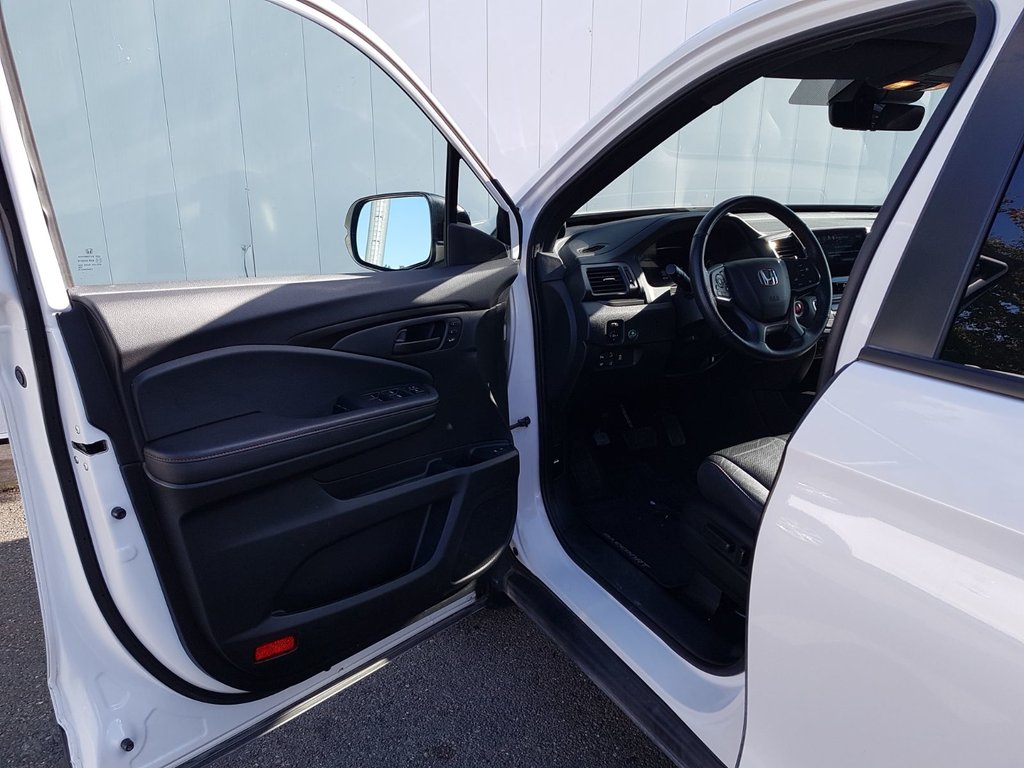2024 Honda Passport TrailSport | Leather | Roof | Cam | USB | HtdWheel in Saint John, New Brunswick - 10 - w1024h768px