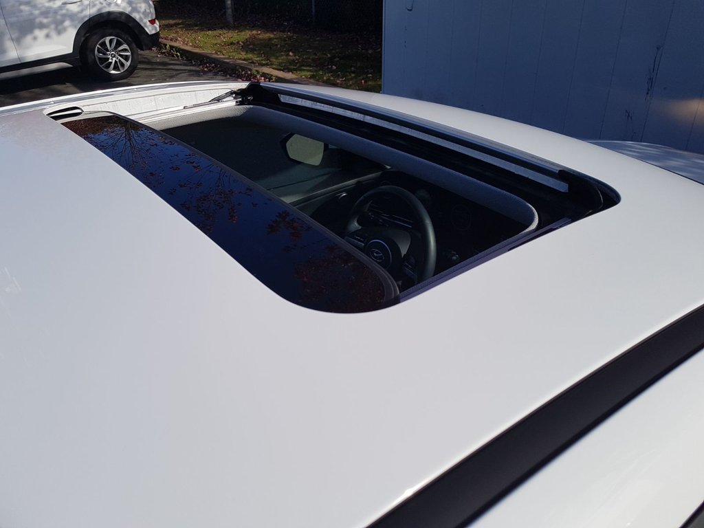 2023 Hyundai ELANTRA HYBRID in Antigonish, Nova Scotia - 56 - w1024h768px