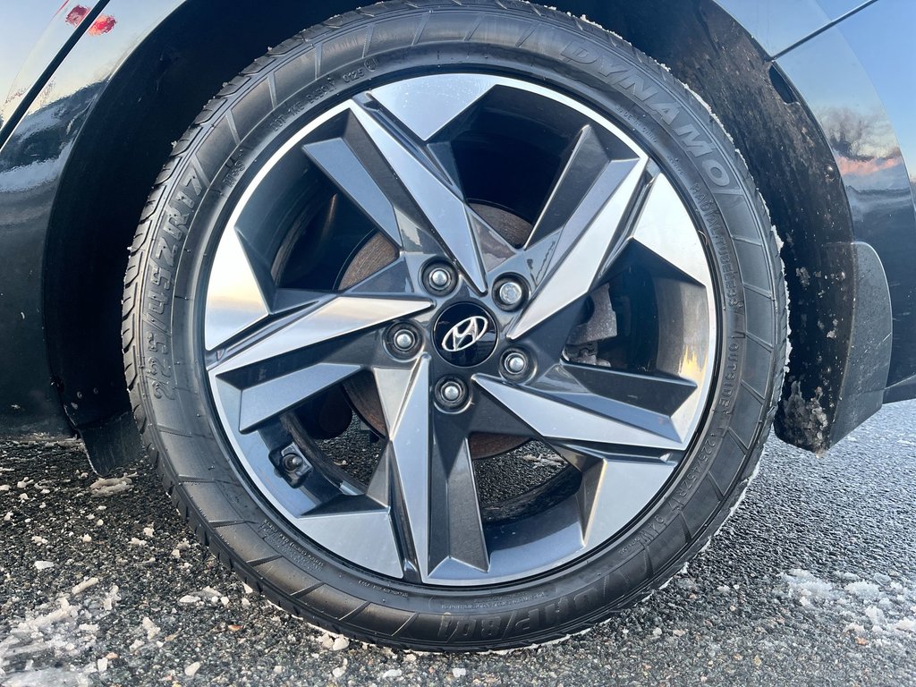 2023 Hyundai ELANTRA HYBRID Luxury | Leather | Roof | Cam | USB | HtdWheel in Saint John, New Brunswick - 10 - w1024h768px