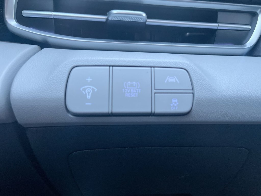 2023 Hyundai ELANTRA HYBRID Luxury | Leather | Roof | Cam | USB | HtdWheel in Saint John, New Brunswick - 24 - w1024h768px