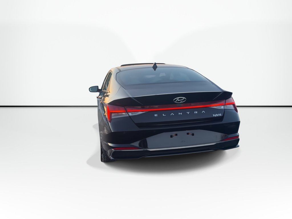 2023 Hyundai ELANTRA HYBRID Luxury | Leather | Roof | Cam | USB | HtdWheel in Saint John, New Brunswick - 7 - w1024h768px