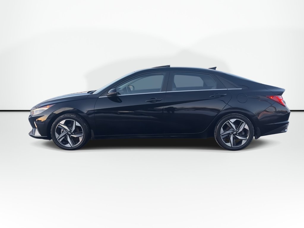 2023 Hyundai ELANTRA HYBRID Luxury | Leather | Roof | Cam | USB | HtdWheel in Saint John, New Brunswick - 5 - w1024h768px