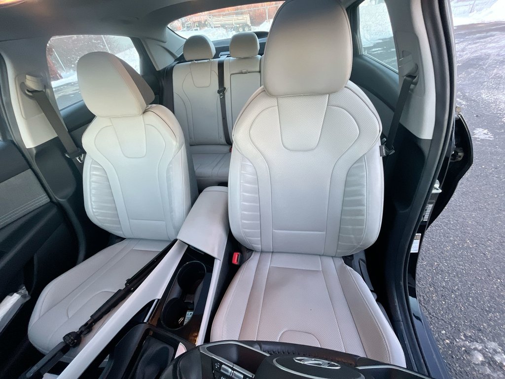 2023 Hyundai ELANTRA HYBRID Luxury | Leather | Roof | Cam | USB | HtdWheel in Saint John, New Brunswick - 13 - w1024h768px