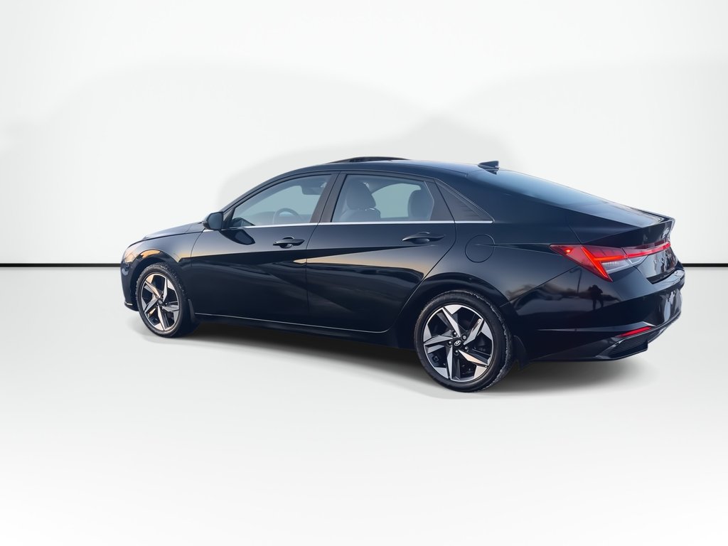 2023 Hyundai ELANTRA HYBRID Luxury | Leather | Roof | Cam | USB | HtdWheel in Saint John, New Brunswick - 6 - w1024h768px
