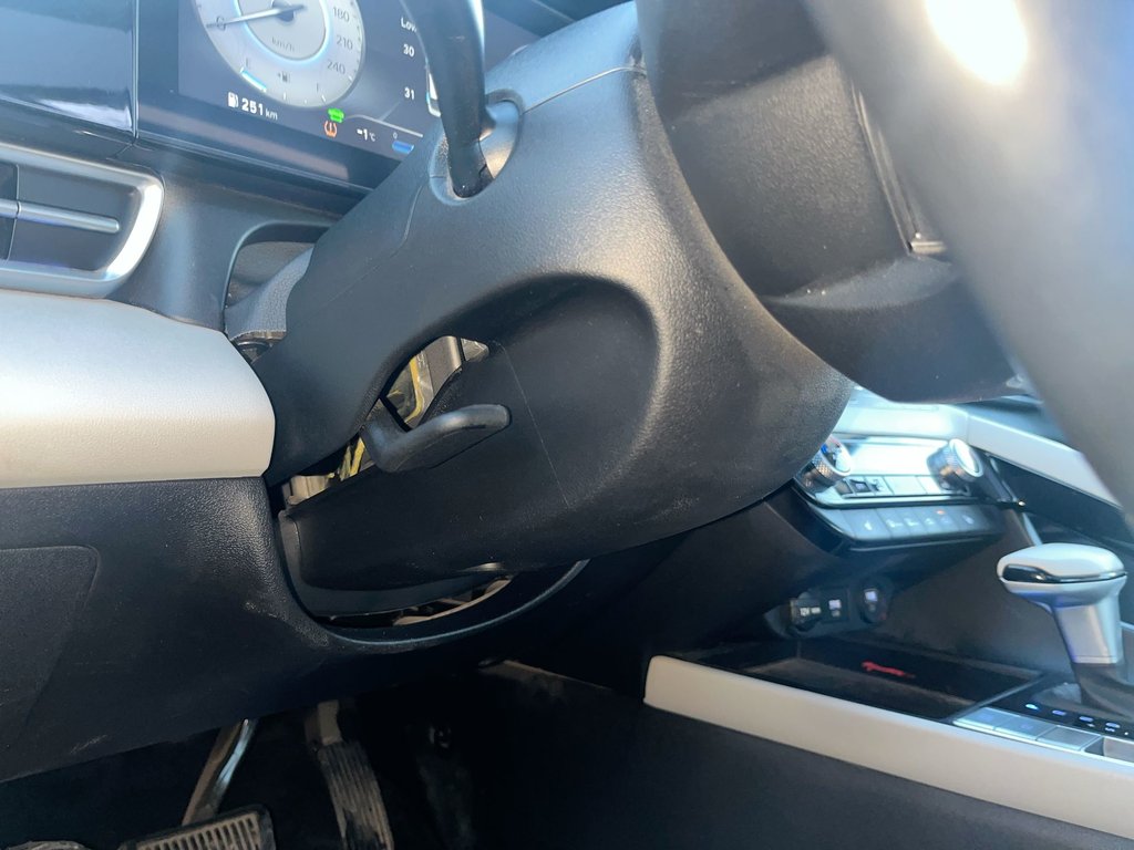 2023 Hyundai ELANTRA HYBRID Luxury | Leather | Roof | Cam | USB | HtdWheel in Saint John, New Brunswick - 19 - w1024h768px