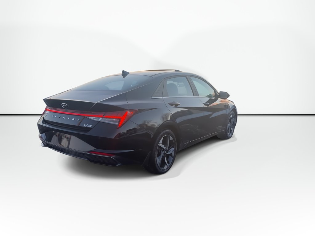 2023 Hyundai ELANTRA HYBRID Luxury | Leather | Roof | Cam | USB | HtdWheel in Saint John, New Brunswick - 8 - w1024h768px