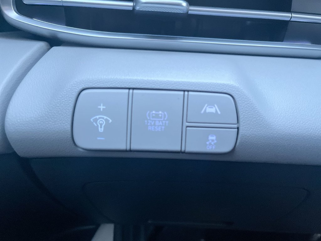 2023 Hyundai ELANTRA HYBRID Luxury | Leather | Roof | Cam | USB | HtdWheel in Saint John, New Brunswick - 22 - w1024h768px