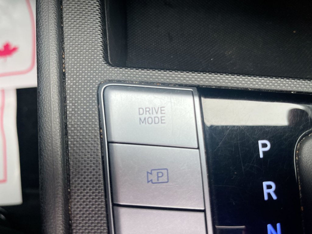 2024 Hyundai Elantra in Antigonish, Nova Scotia - 31 - w1024h768px