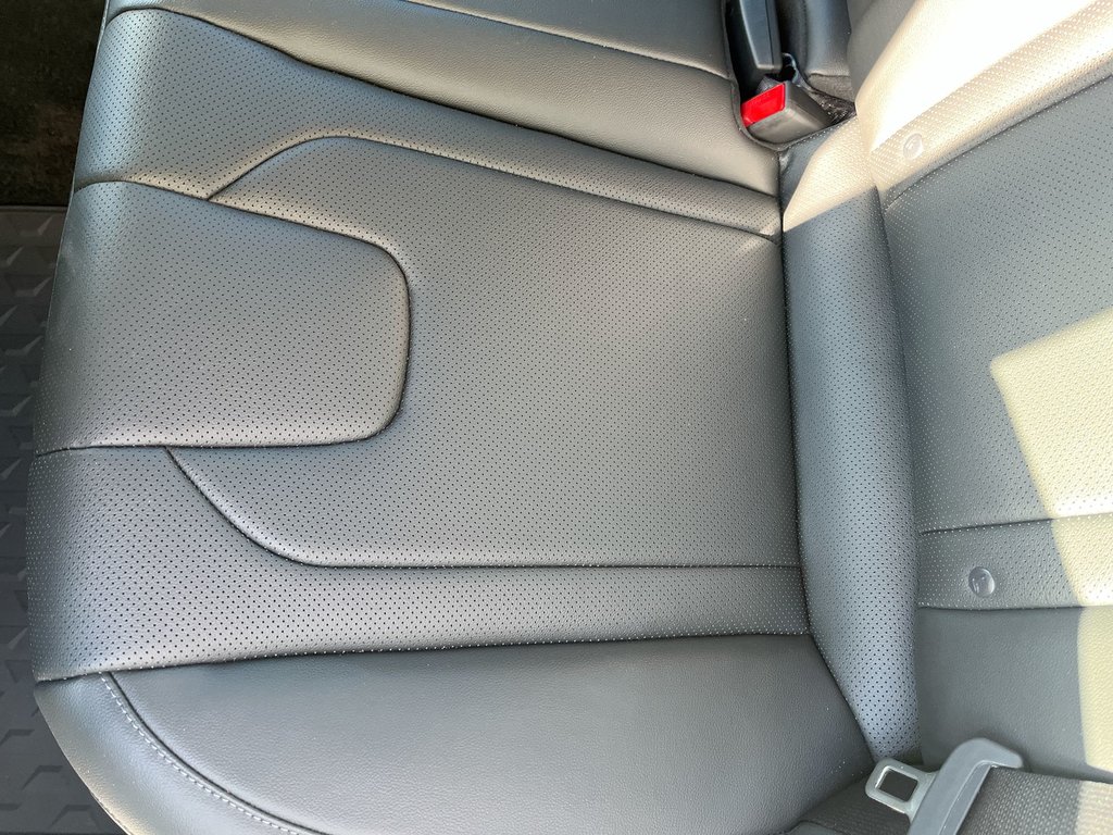 2025 Hyundai Elantra Luxury | Leather | Roof | Nav | Warranty to 2031 in Saint John, New Brunswick - 33 - w1024h768px