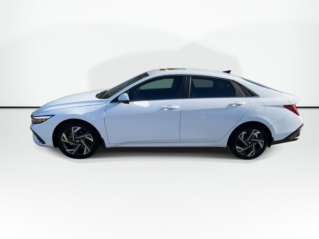 2025 Hyundai Elantra Luxury | Leather | Roof | Nav | Warranty to 2031 in Saint John, New Brunswick - 6 - w1024h768px