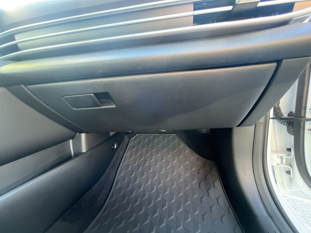 2025 Hyundai Elantra Luxury | Leather | Roof | Nav | Warranty to 2031 in Saint John, New Brunswick - 43 - w1024h768px