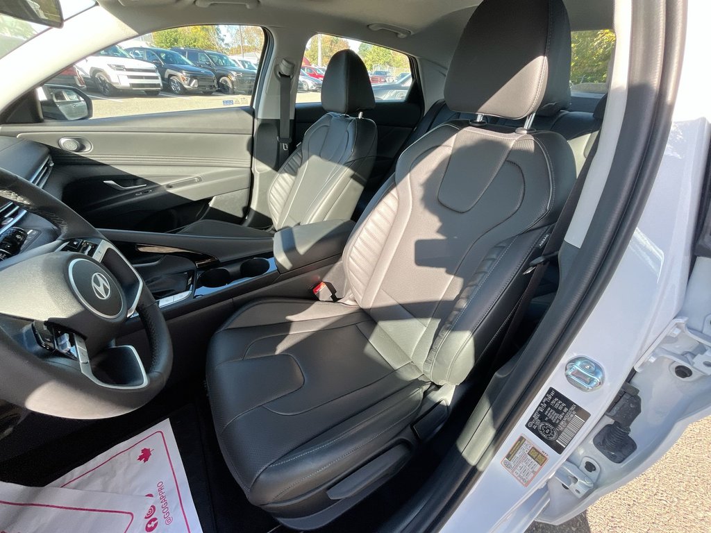 2025 Hyundai Elantra Luxury | Leather | Roof | Nav | Warranty to 2031 in Saint John, New Brunswick - 11 - w1024h768px