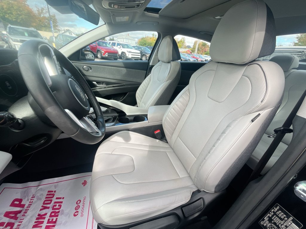 2025 Hyundai Elantra Luxury | Leather | Roof | Nav | Warranty to 2030 in Saint John, New Brunswick - 11 - w1024h768px