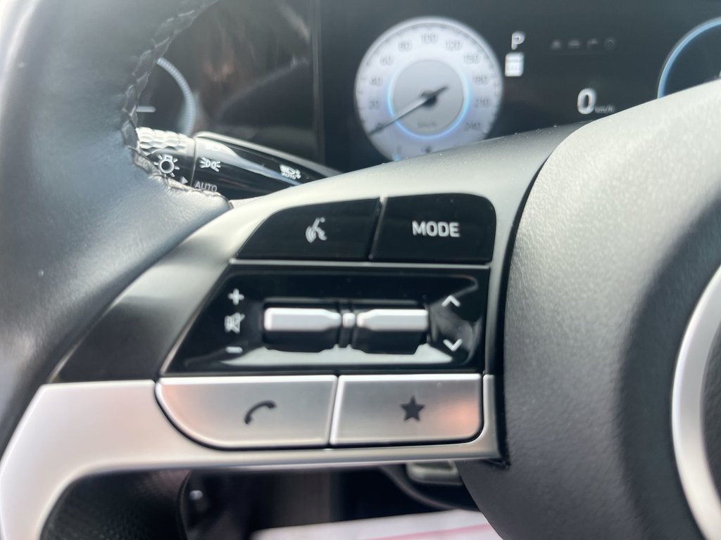 2025 Hyundai Elantra Luxury | Leather | Roof | Nav | Warranty to 2030 in Saint John, New Brunswick - 20 - w1024h768px