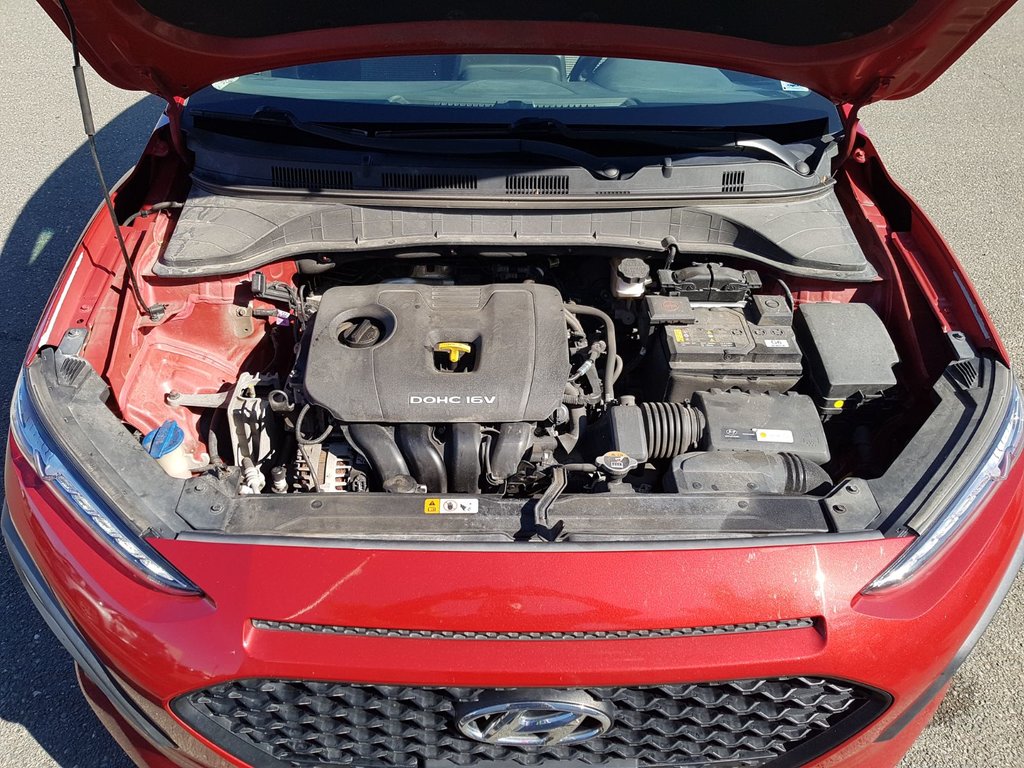 2020 Hyundai Kona Preferred | Cam | USB | HtdWheel | Bluetooth in Saint John, New Brunswick - 50 - w1024h768px