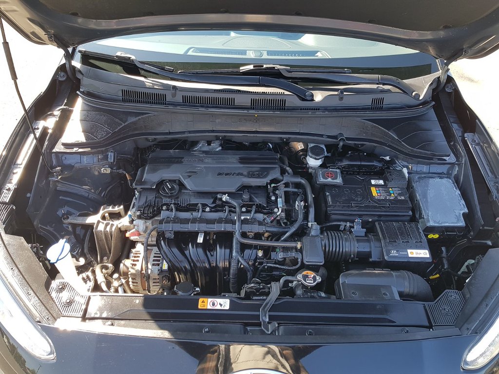 2022 Hyundai Kona PREFERRED | CAM | USB | HtdWheel | Bluetooth | XM in Saint John, New Brunswick - 44 - w1024h768px