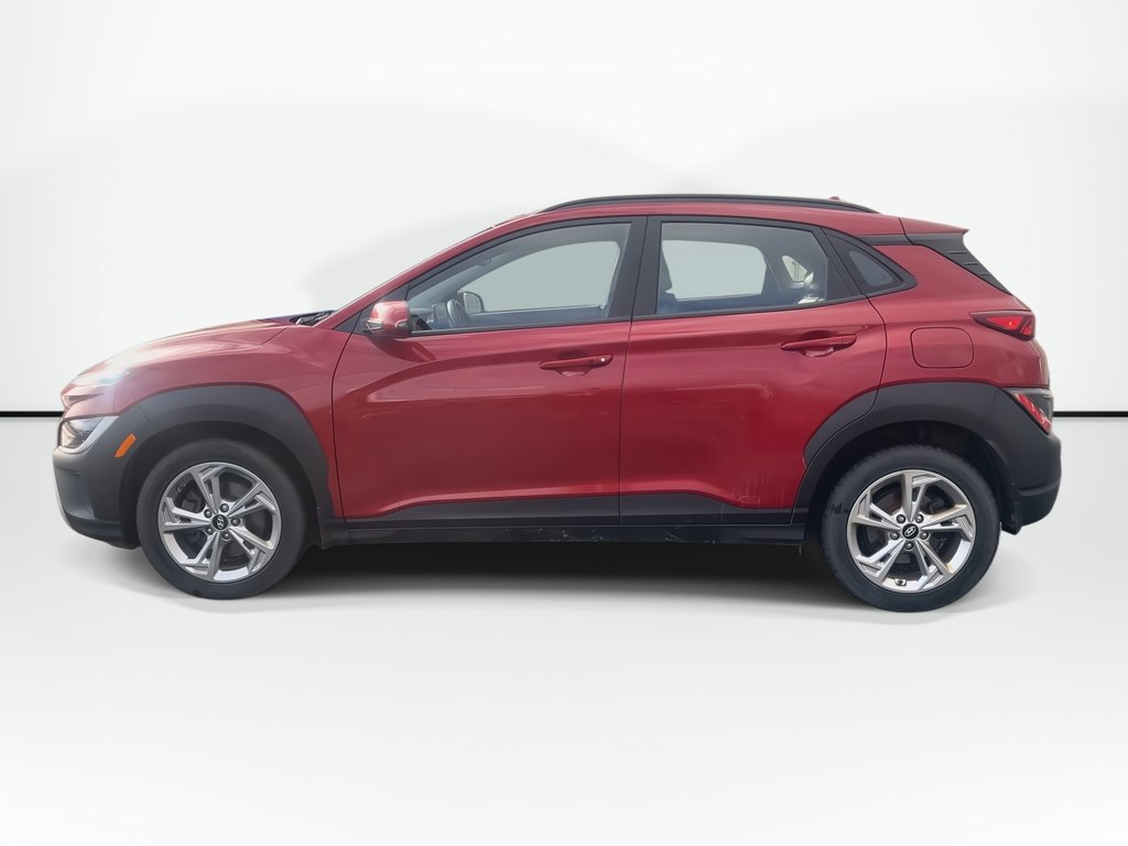2022 Hyundai Kona SE | Leather | Roof | Cam | USB in Saint John, New Brunswick - 5 - w1024h768px