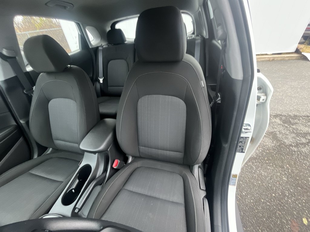 2023 Hyundai Kona Essential | Cam | USB | HtdSeats | Bluetooth in Saint John, New Brunswick - 13 - w1024h768px