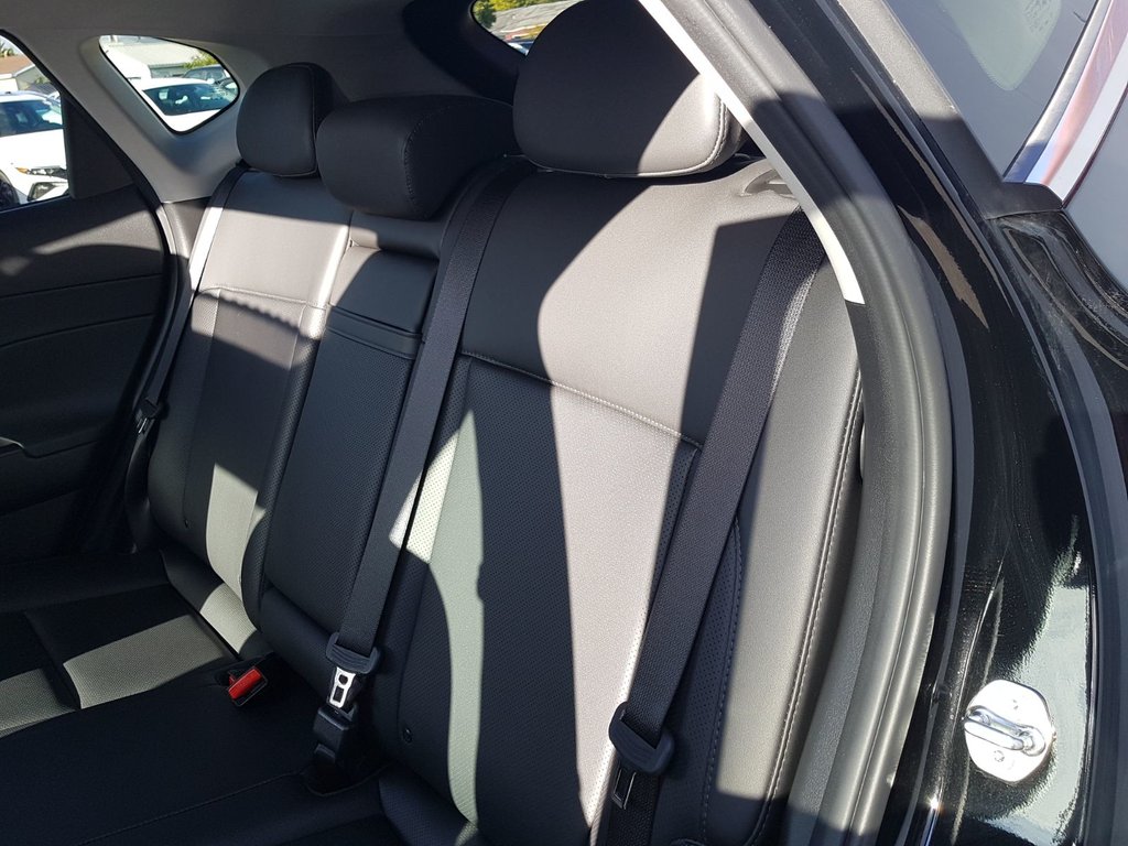 Hyundai Kona Trend | Leather | Sunroof | Cam | USB | HtdWheel 2024 à Saint John, Nouveau-Brunswick - 39 - w1024h768px