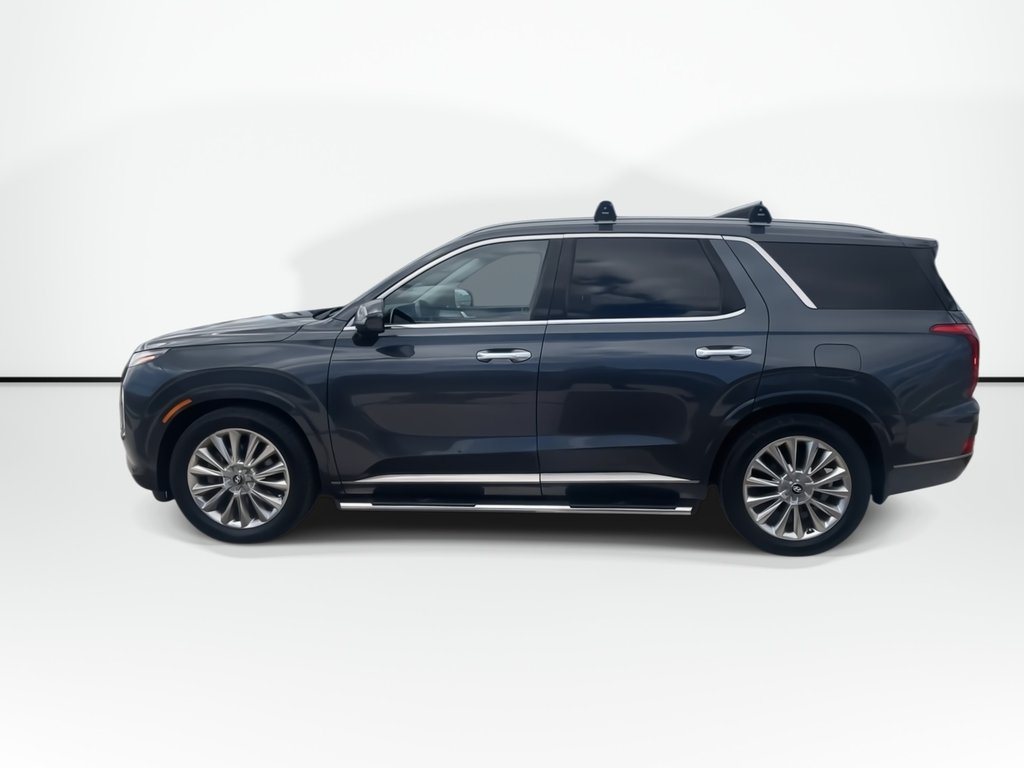 2020 Hyundai Palisade Ultimate | Leather | Roof | Nav | USB | HtdWheel in Saint John, New Brunswick - 5 - w1024h768px