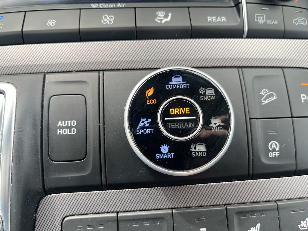 2020 Hyundai Palisade Ultimate | Leather | Roof | Nav | USB | HtdWheel in Saint John, New Brunswick - 31 - w1024h768px