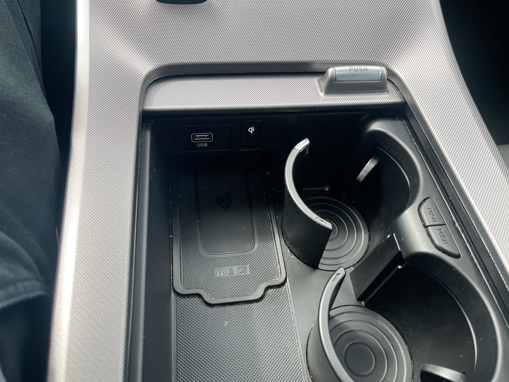 2020 Hyundai Palisade Ultimate | Leather | Roof | Nav | USB | HtdWheel in Saint John, New Brunswick - 28 - w1024h768px