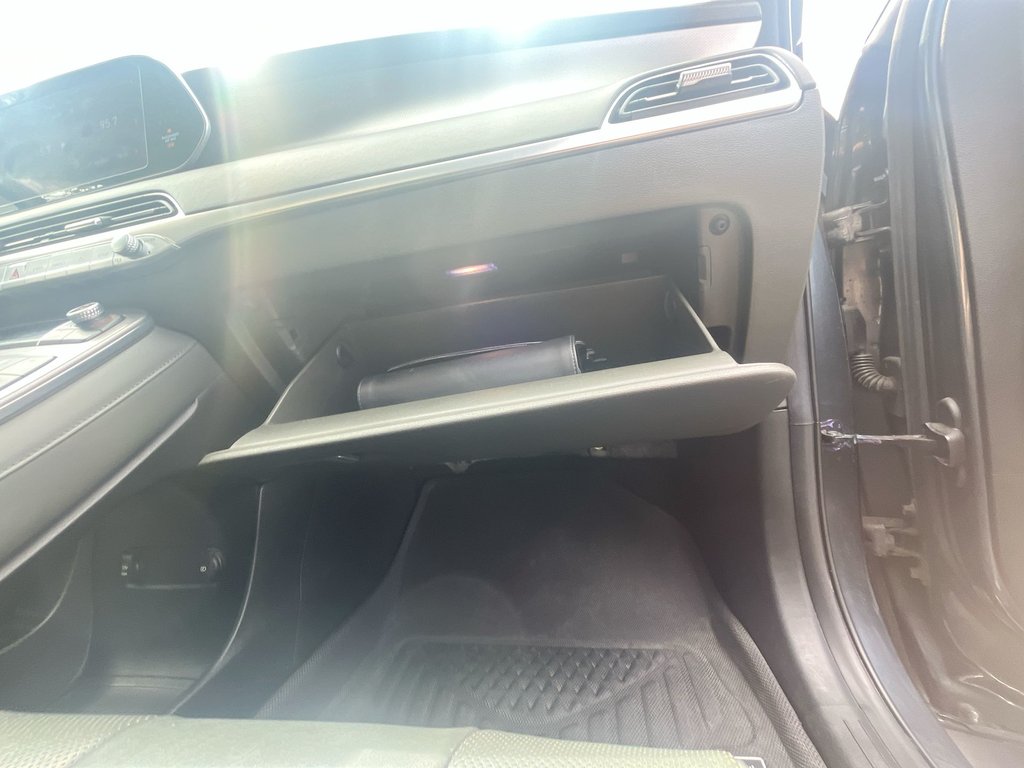 2020 Hyundai Palisade Ultimate | Leather | Roof | Nav | USB | HtdWheel in Saint John, New Brunswick - 43 - w1024h768px