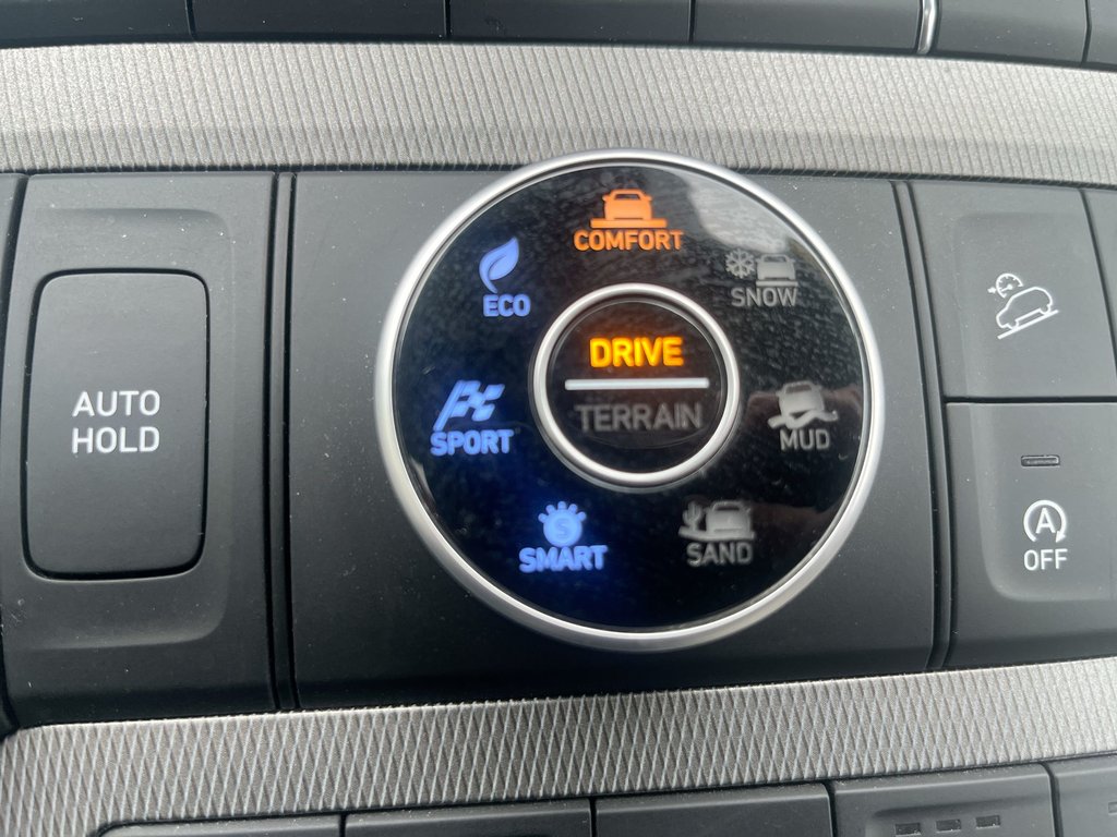 2021 Hyundai Palisade Ultimate Calligraphy | Leather | Roof | Nav in Saint John, New Brunswick - 31 - w1024h768px