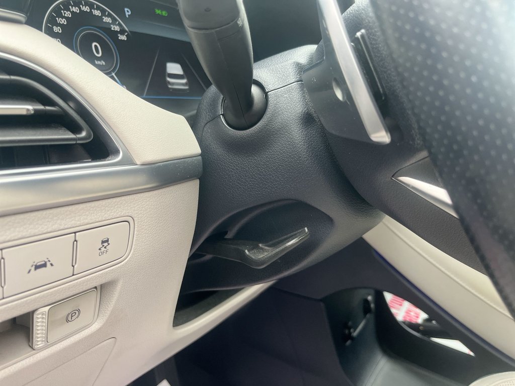 2021 Hyundai Palisade Ultimate Calligraphy | Leather | Roof | Nav in Saint John, New Brunswick - 19 - w1024h768px